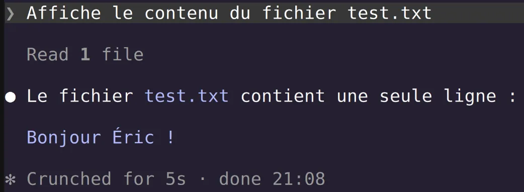 Claude code affiche un fichier, en ajoutant une explication inutile