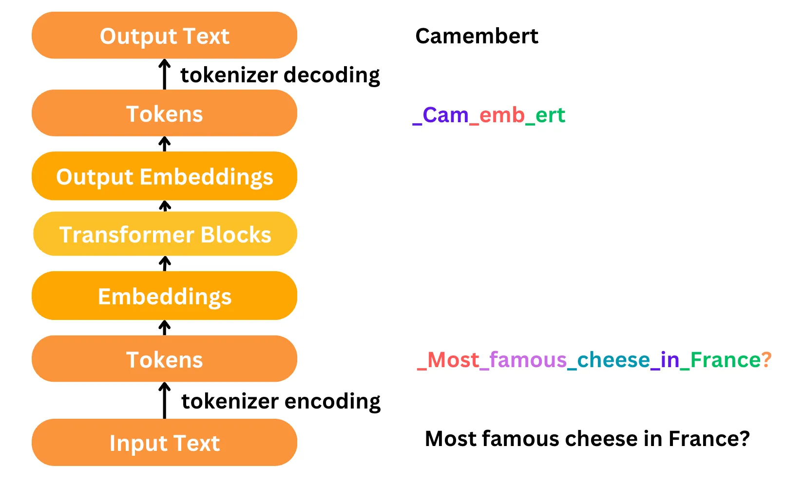 tokenization