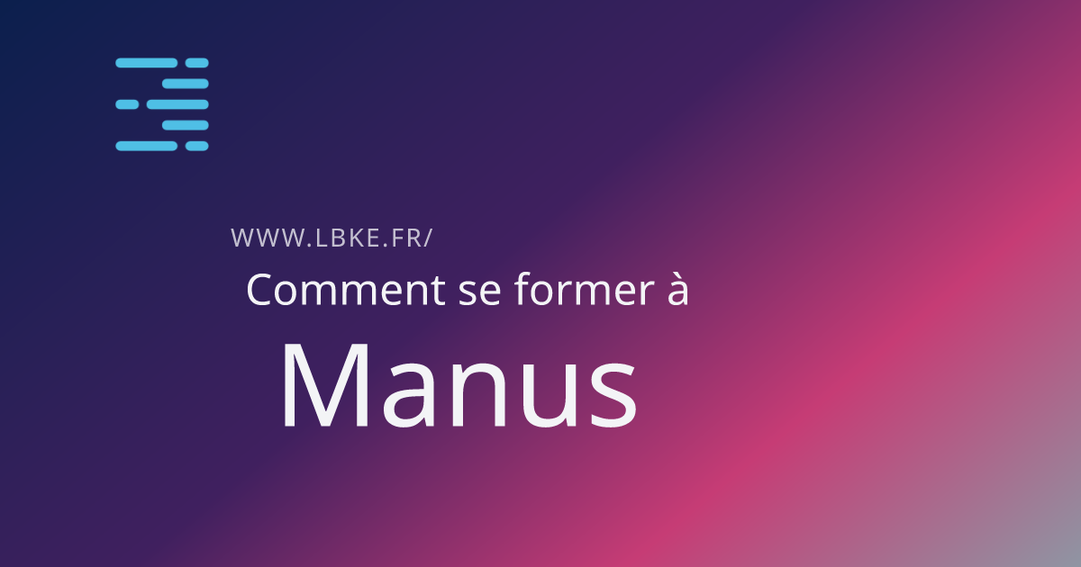 Illustration pour l'article Se former à l'IA d'entreprise Manus AI : guide complet 2026